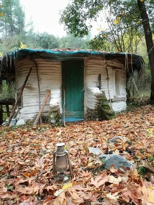 Гриб домик стоит в деревне …» — создано в Шедевруме