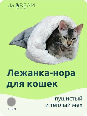 Домик для животных из войлока \"Eva\" купить в Тосно в магазине Светофор