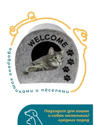 Сертификация домиков и мягких мест для собак и кошек - оформление  сертификата - gortest.com в Москве gortest.com