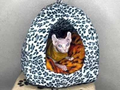 Домик для кошек. Деревянный дом кошачий. Лежак для животных из фанеры. -  купить с доставкой по выгодным ценам в интернет-магазине OZON (554897284)