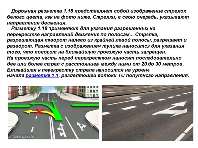 ПДД Узбекистана. ПРИЛОЖЕНИЕ №2 к правилам дорожного движения | Разметки на  проезжей части