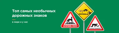Дорожные знаки меньшего размера появятся по всей России - Новости –  Общество – Коммерсантъ