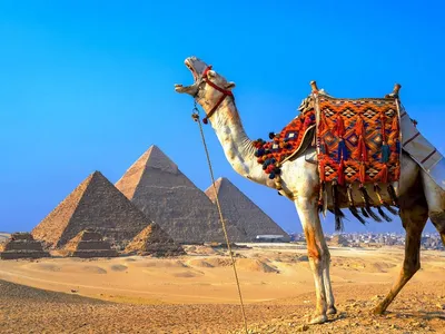 Достопримечательности Египта (ТОП 40) Что посмотреть - Тревел 24