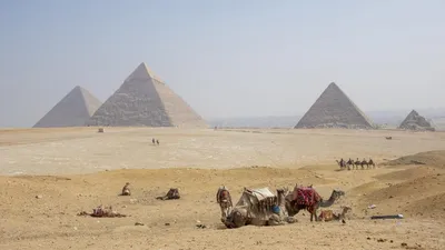 Египет все о стране достопримечательности история традиции
