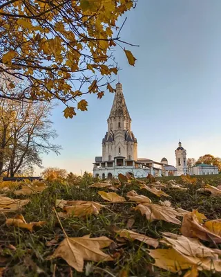 Самые большие памятники: Московский Кремль, Большой дворец Петергофа,  Успенский собор во Владимире.