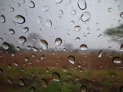 Летний дождь. Фотограф LIUDMILA BABROUSKAYA