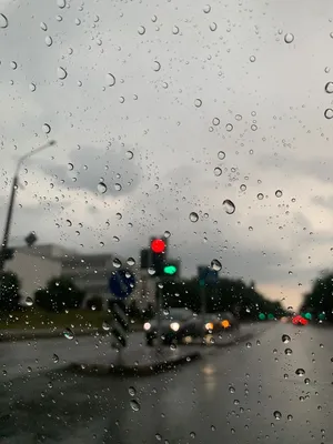 Автомобилем в дождь опасно ездить - что может случиться | РБК Украина