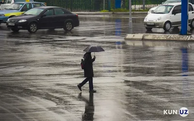 Дождь в декабре: в Костанайской области из-за аномальной погоды отменили  занятия в школах - Телеканал «Астана»