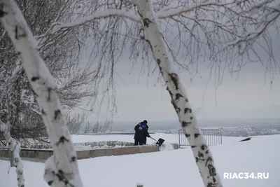 В январе нас ждут дожди: синоптики ошарашили прогнозом на зиму 2024 в  Новосибирске - KP.RU
