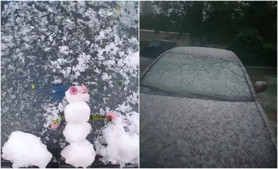 Волгоградский снегопад предсказал дождливую весну