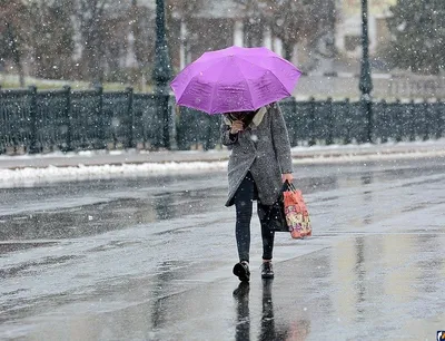 Зима часто начинается с холодных …» — создано в Шедевруме