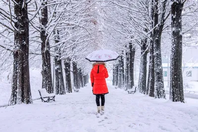 В Краснодаре как всегда дождливая зима☔️ А в Видеосалоне снежные сказки для  вашего новогоднего настроения 🎄☃️ | Instagram