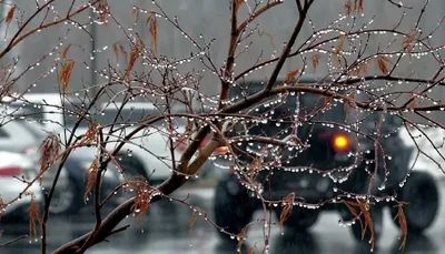 Зима опаздывает на 50 дней: синоптики рассказали о погодной аномалии | ЭТО  ПЕНЗА | Дзен
