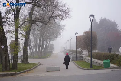 Погода на 2 февраля: в Киев придет дождливая весна