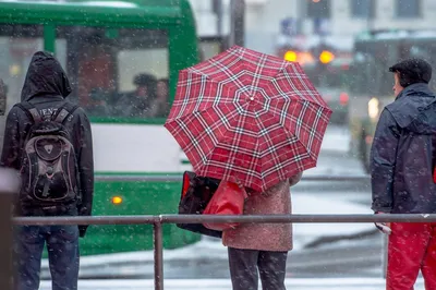 Зима не сдается: погода в Баку и регионах снова испортится - 10.03.2021,  Sputnik Азербайджан