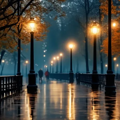 Дождливый вечер января... :: Наталья Rosenwasser – Социальная сеть ФотоКто