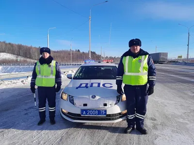 Дпс» — создано в Шедевруме