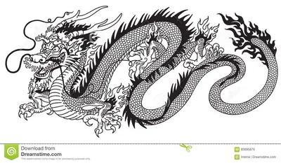 Китайский дракон черно-белый Иллюстрация вектора - иллюстрации  насчитывающей восточно, … | Маленькие татуировки с драконом, Эскиз дракона,  Татуировки в виде дракона