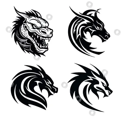Дракон Черно-белый, Дракон Татуировки Высокого Качества, дракон, логотип,  монохромный png | Klipartz