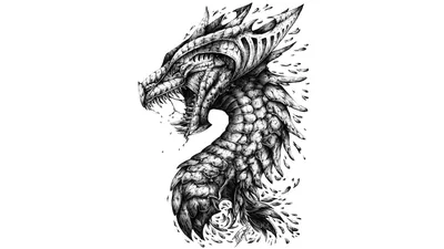 Картинка дракон Фэнтези Черно белое головы Белый фон 2560x1440