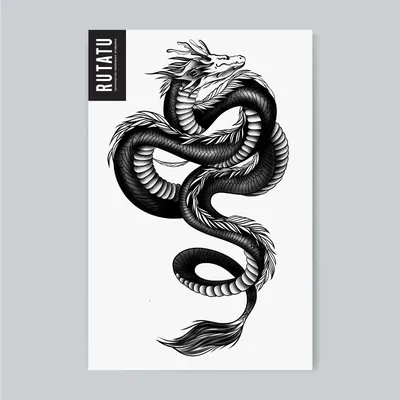 Белый дракон Черно-белый рисунок, дракон с, лист, дракон, фотография png |  Klipartz
