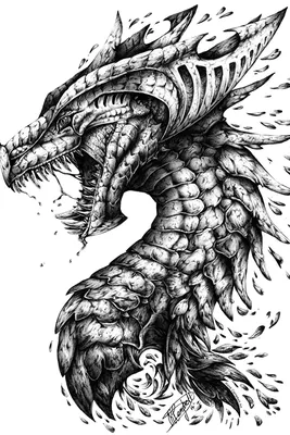 Картинка дракон Фэнтези Черно белое головы Белый фон 640x960