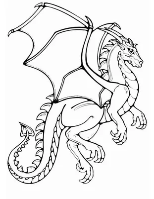 Фантазийный дракон - Раскраски для детей и взрослых