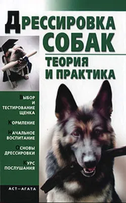 Дрессировка щенков и взрослых собак в Перми: цены и отзывы