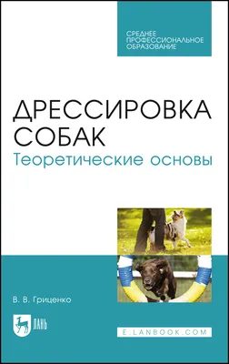 Домашняя дрессировка собак Элементарные бытовые маркеры и команды | Елена  Смирнова Кинология, психология, поведение собак. Домашняя дрессировка. |  Дзен