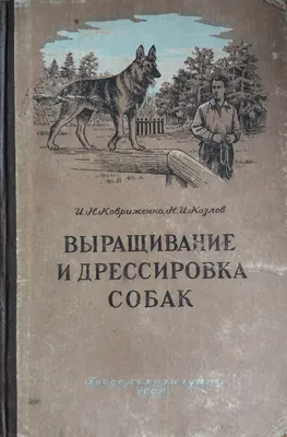 Книга Дрессировка Собак для Чайников - купить в Торговый Дом БММ, цена на  Мегамаркет