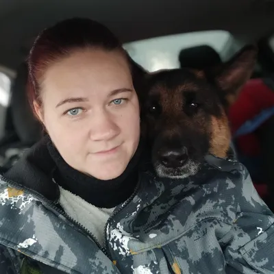 Дрессировка собак в Омске - ОЦССС | Пикабу