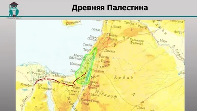 Древняя Палестина: география, краткая история Палестины ⏳