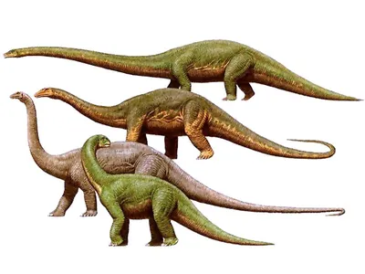 Купить Динозавры и другие древние животные. Crystal Book F00012370 недорого