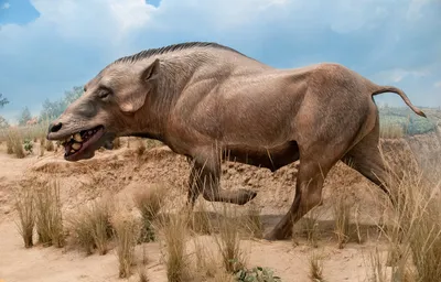 Древние животные – самые крупные и опасные существа прошлого | Пикабу