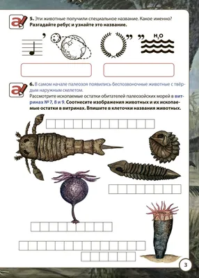 10 иллюстраций от художника, который показывает, как могли выглядеть древние  животные | TravelAsk | Дзен