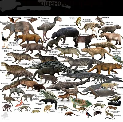 Картинка Daeodon животное Древние животные 2743x1754