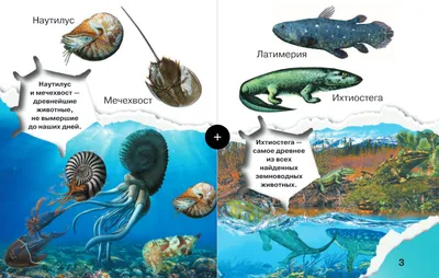 Сравнение размеров вымерших древних животных и их современных родственников  – Zagge.ru