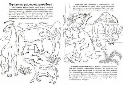 Животные докембрия и кембрийского периода