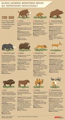 15 самых древних животных нашей планеты
