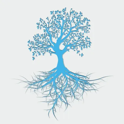 Каббалистическое древо жизни: символика и духовное значение | Журнал о  психологии, красоте и духовности | Дзен