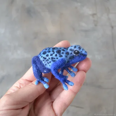 Яркая синяя ядовитая лягушка-дротолет под пышным дождем 00490 01 | Премиум  Фото