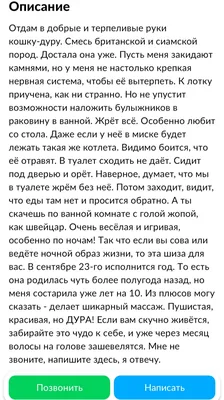 Книга \"Не дура\" Ринат Валиуллин (ID#1458295886), цена: 140 ₴, купить на  Prom.ua