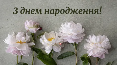 Поздравляем с Днём Рождения, душевная открытка женщине - С любовью,  Mine-Chips.ru