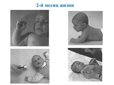 Развитие ребенка в 2 месяца: помогаем малышу наладить режим! - Иркутский  городской перинатальный центр имени Малиновского М.С.