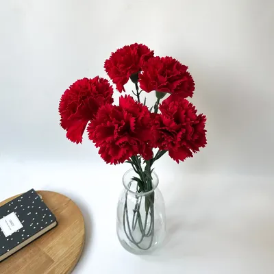Купить ДВЕ гвоздики бархатные, Искусственные цветы для декора, на праздник  по выгодной цене в интернет-магазине OZON.ru (948800756)