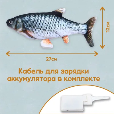 Игрушка для кошек и собак танцующая рыба, игрушка с двигающимся хвостом,  танцующий карп с USB зарядкой - купить с доставкой по выгодным ценам в  интернет-магазине OZON (493800064)