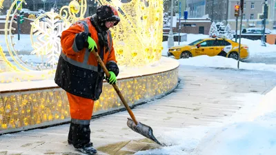 Дворник и повар в Тюмени: сколько платят — РБК