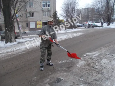 Первый дворник на деревне - «Местный спрос»