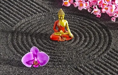 Что такое дзен-буддизм? | Саморазвитие | Дзен
