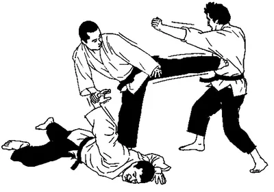 Иллюстрация 1 из 1 для Джиу-джитсу и сават - Ашикага, Андрэ | Лабиринт -  книги. Источник: Лабиринт